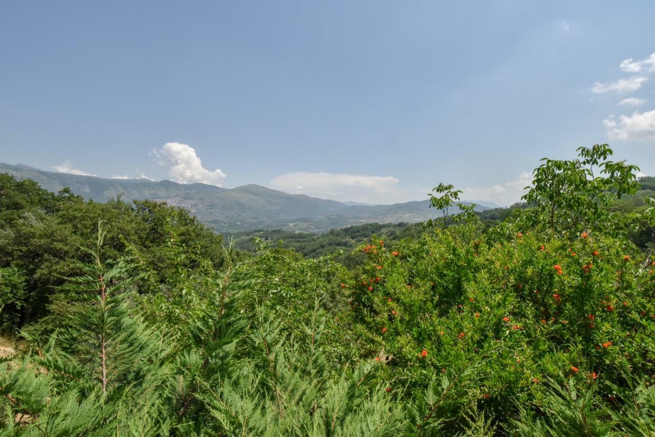 Agriturismo L'Antico Casolare Castelcivita Exteriér fotografie